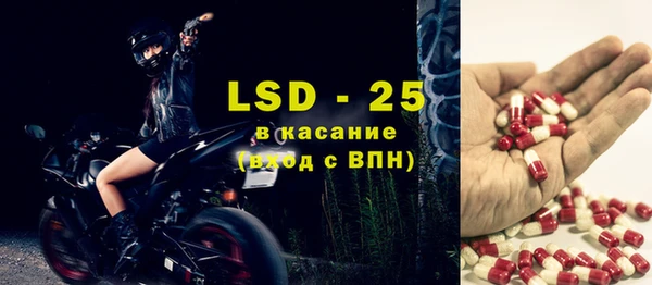 PSILOCYBIN Алзамай