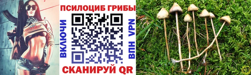 Псилоцибиновые грибы MAGIC MUSHROOMS  даркнет сайт  Луховицы 